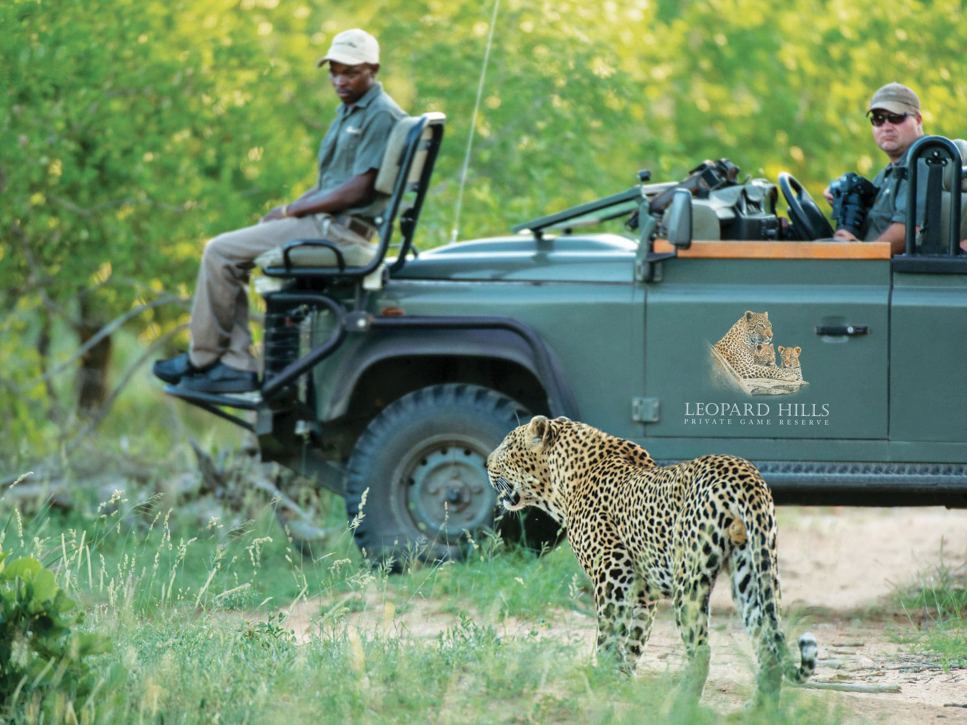 Chobe vs. The Kruger National Park for an African Safari?