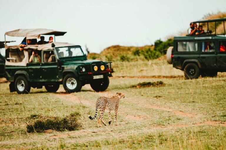 What to Wear on a Safari