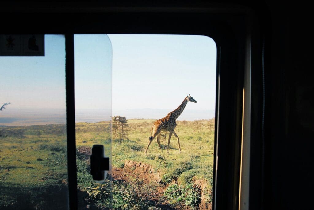 Tailor Made African Tours | Design a Perfect African Safari