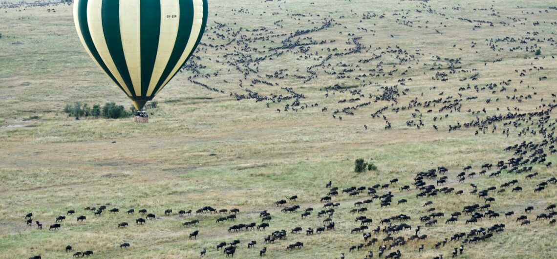 Tailor Made African Tours | Design a Perfect African Safari